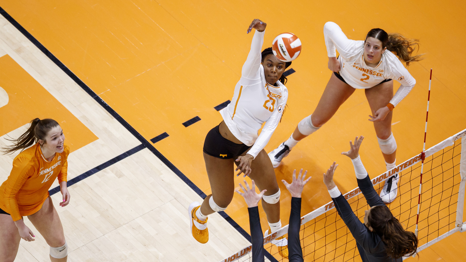 Tennessee Volunteers Women's Volleyball vs. South Carolina Gamecocks at Thompson Boling Arena