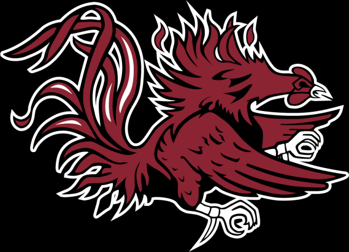 Tennessee Volunteers vs. South Carolina Gamecocks